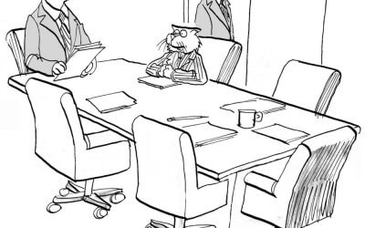 How to Succeed as a New Manager from the Start
