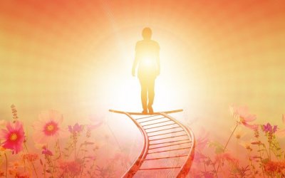 Transition to Management Best Practices